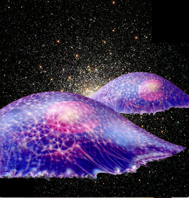 Discover Your Inner Universe: The Living Cosmos Within