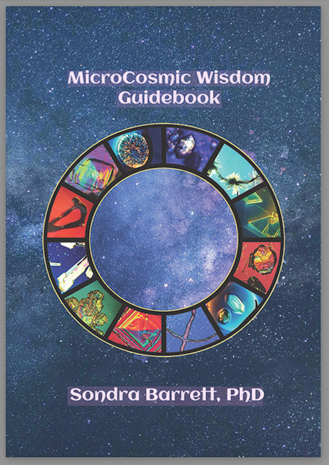 MicroCosmic Wisdom DIGITAL Guidebook