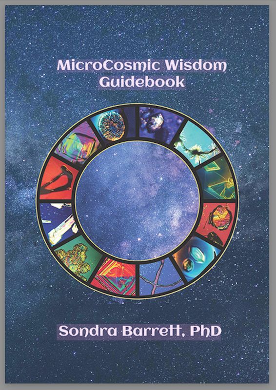 MicroCosmic Wisdom DIGITAL Guidebook
