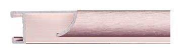 Profile 24 - Brushed Satin Champagne
