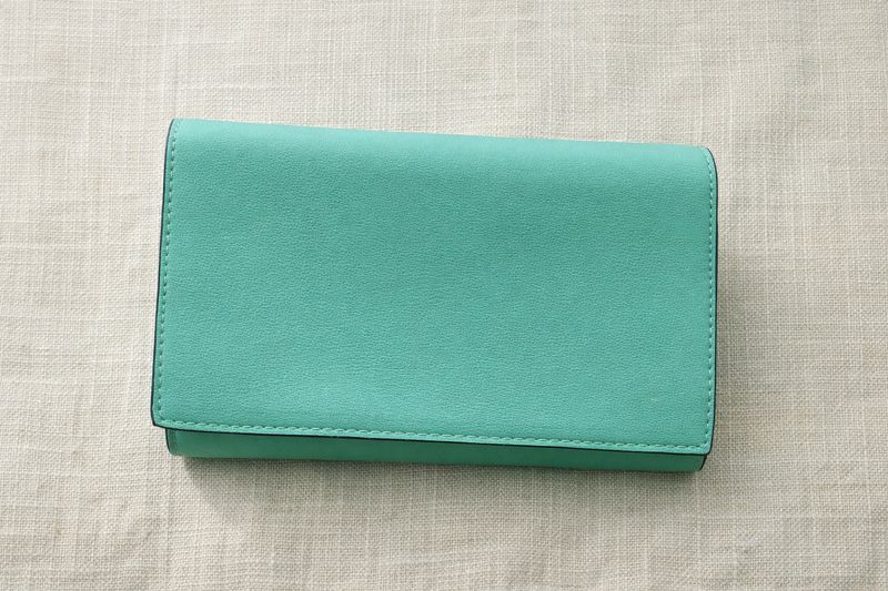 Mint Green Clutch