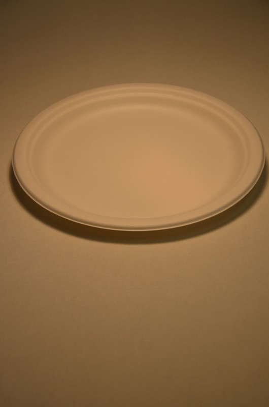 Menuteller Bagasse 26 cm, 50er Pack