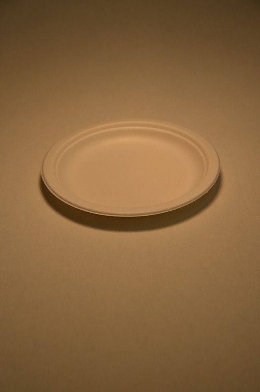 Dessertteller Bagasse 17.5 cm, 50er Pack