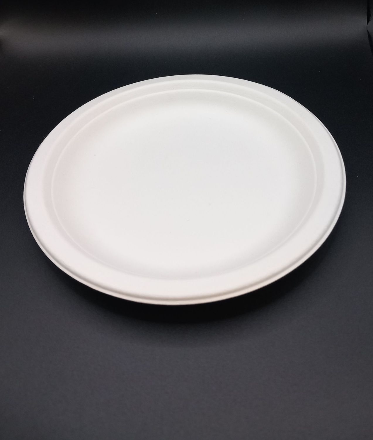 Dessertteller Bagasse 17.5 cm, 50er Pack