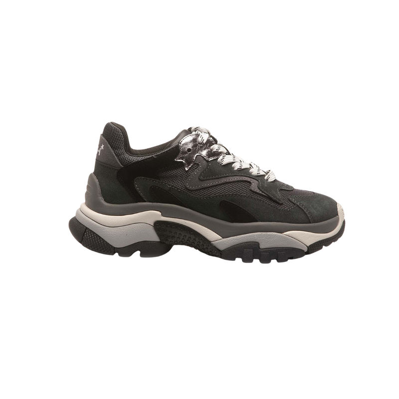 ASH - Addict Sneakers - Greystone/Black/Fog