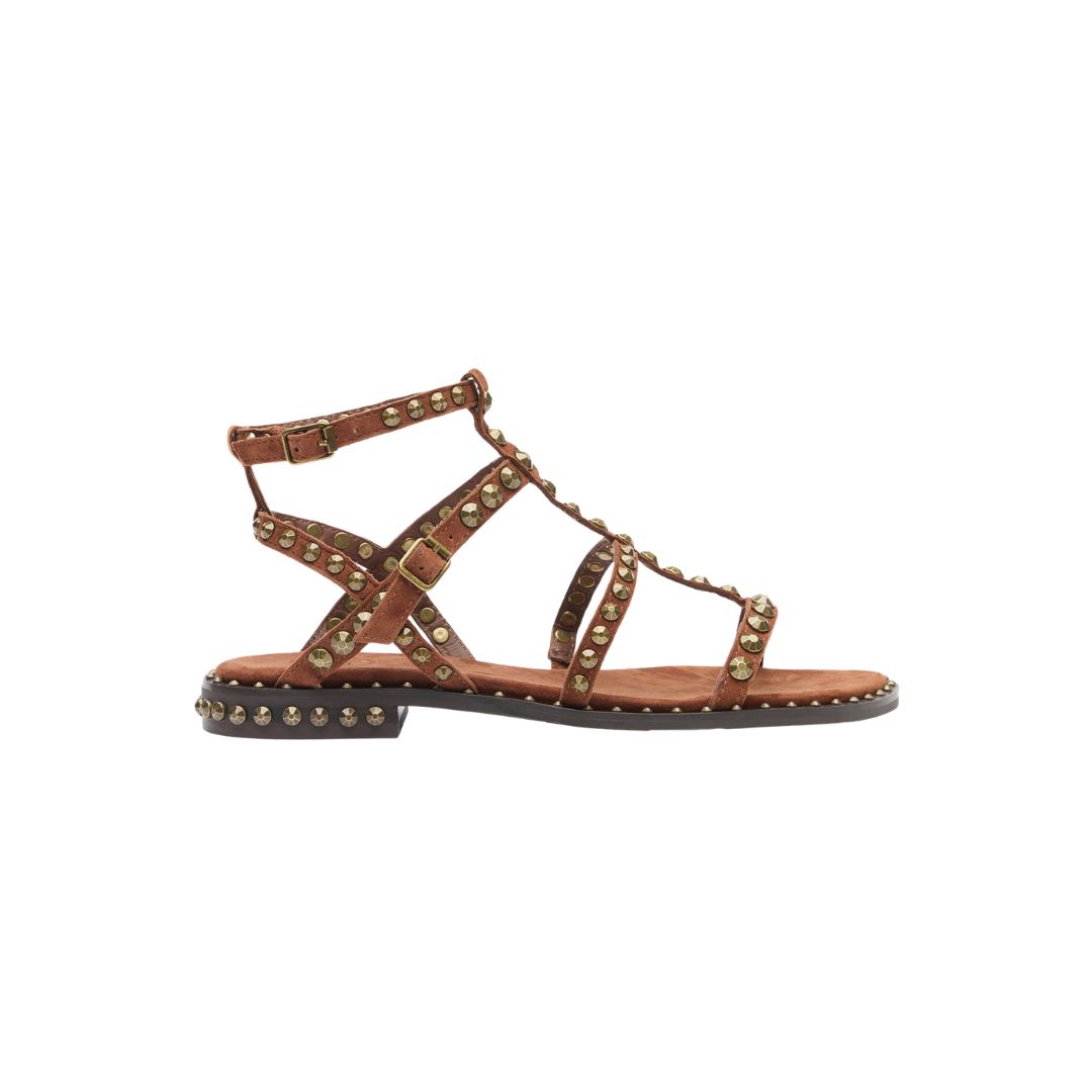 ASH - Precious Sandalo - Tajne Brass