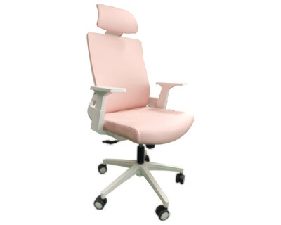 Ofix Deluxe-F10W High Back PU Chair (Pink, Blue, Violet) Ofix Deluxe-F10W High Back PU Chair (Pink, Blue, Violet)