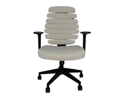 Ofix Deluxe-20 Bionic Back Office Chair (Grey, Black) Ofix Deluxe-20 Bionic Back Office Chair (Grey, Black)
