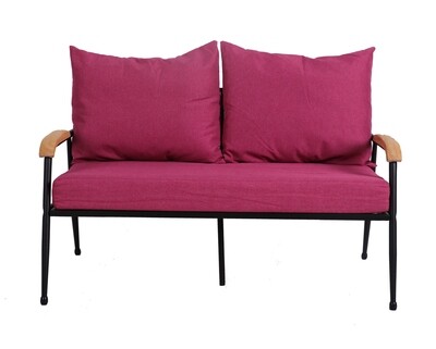 Flotti Canaan Metal Sofa-2 Seater (Purple, Pink)
