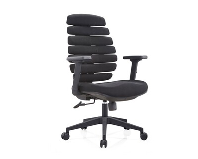 Ofix Deluxe-20 Bionic Back Office Chair (Black)