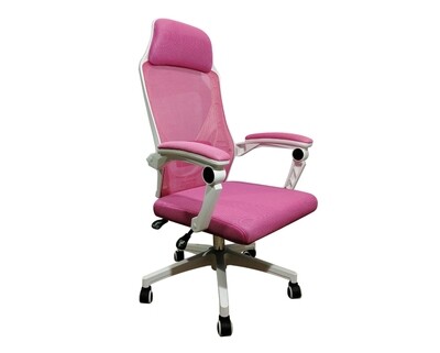 OFX Areli Gaming Chair (White+Pink) OFX Areli Gaming Chair (White+Pink)