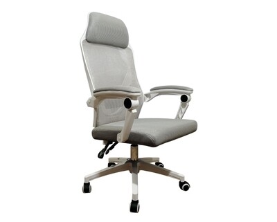 OFX Areli Gaming Chair (Black, White+Pink, White+Grey) OFX Areli Gaming Chair (Black, White+Pink, White+Grey)