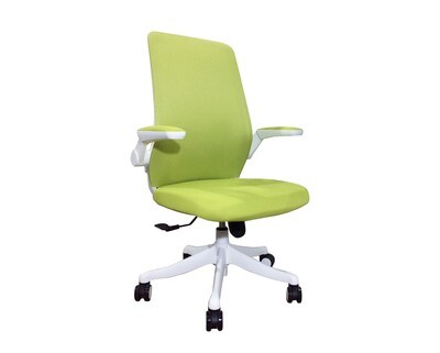 Ofix Korean X13 Mid Back All Mesh Chair (Green+White)