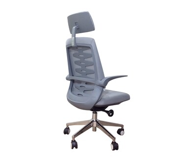 Ofix Premium-X17 Bionic Spine Support Office Chair (Blue, Green, Grey)