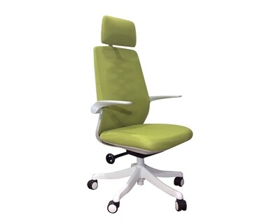 Ofix Premium-X17 Bionic Spine Support Office Chair (Blue, Green)