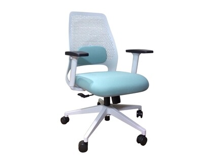 Ofix Korean S22 Ergonomic Mid Back Office Chair (Green) Ofix Korean S22 Ergonomic Mid Back Office Chair (Green)