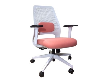 Ofix Korean S22 Ergonomic Mid Back Office Chair (Blue, Green, Peach) Ofix Korean S22 Ergonomic Mid Back Office Chair (Blue, Green, Peach)