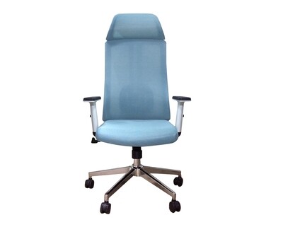 Ofix Korean Y66 Ergonomic Office Chair (Blue) Ofix Korean Y66 Ergonomic Office Chair (Blue)