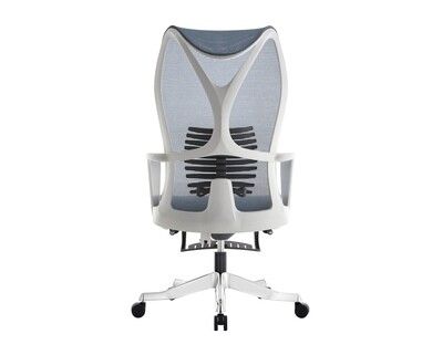 Ofix Premium X21 Bionic Spine Support Chair  (w/ Footrest) (Blue, Grey)