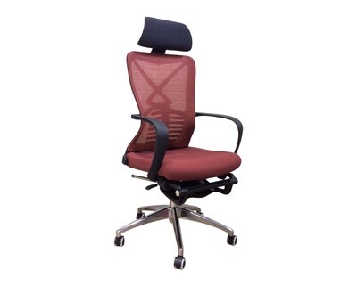 Ofix Korean-F221/ F222 Bionic Spine Support Chair  (w/ Footrest) (Red)