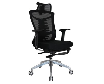 (Sale) Ofix Premium X18F PRO Mesh Bionic Spine Support Chair (Black) (Broken Lumbar Support)