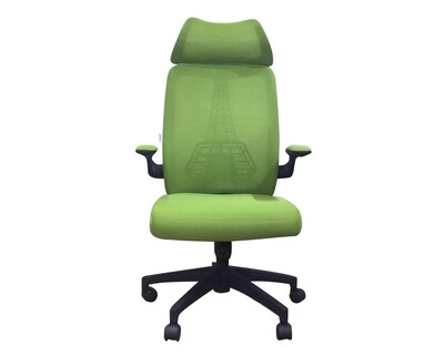 Ofix Korean-126 High Back Mesh Chair (Green)