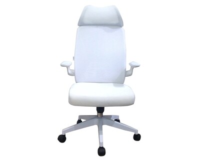 Ofix Korean-126 High Back Mesh Chair (Green, All White)