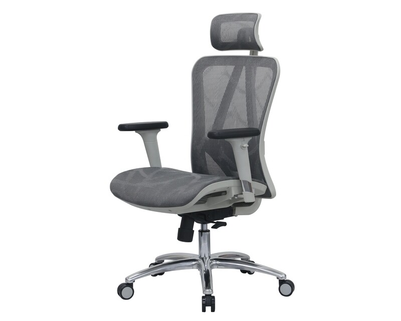Ofix Deluxe-D57 XTM Full Mesh Chair with Seat Slide Aluminum Base, 2D Lumbar Support & 3D Armrest Office Chair (Grey, Blue, Pink) (1 Year Warranty) Ofix Deluxe-D57 XTM Full Mesh Chair with Seat Slide Aluminum Base, 2D Lumbar Support & 3D Armrest Office Chair (Grey, Blue, Pink) (1 Year Warranty)