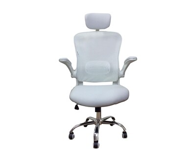 Ofix Premium-30/ 31 Mesh Chair (Black, Pink, Pink+White, Black+White, Light Blue+White, Blue+White, All White)