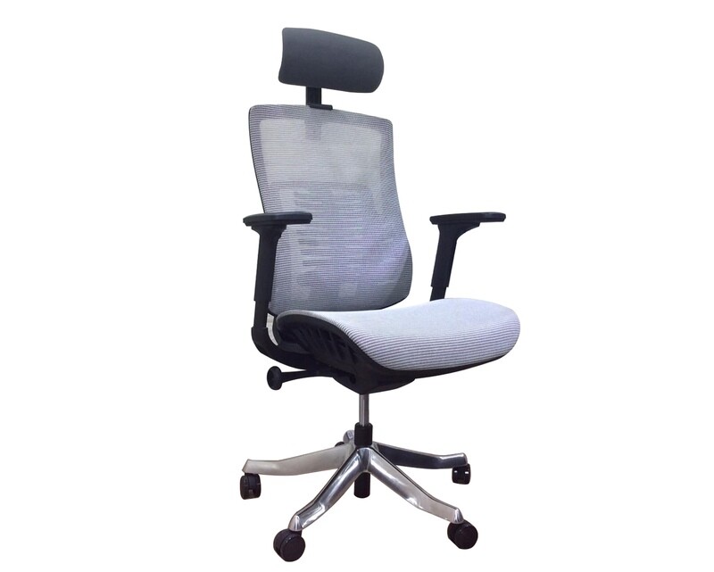 Ofix Premium X25 XTM Bionic Spine Support (w/ Seat Slide) (Grey)