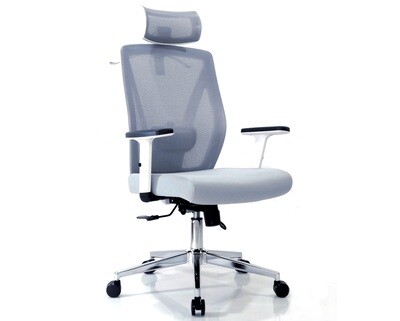 Ofix Deluxe Y59 (Height Adjustable Backrest) (Grey, White+Grey)
