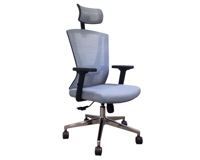 Ofix Korean-26 Dynamic Lumbar Support Mesh Chair (Grey, Black)