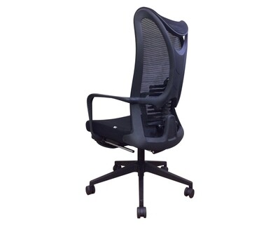 Ofix Premium X21N Bionic Spine Support Chair Nylon Base  (w/ Footrest) (Black)