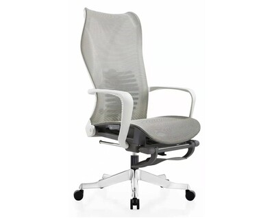 XTM Premium X21 Bionic Spine Support Chair  (w/ Footrest) (Grey)