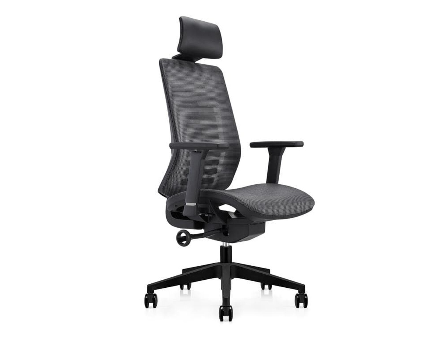 Ofix Premium X15 Bionic Spine Support High Back Chair (Seat Slide) (All Black, Sky Blue)