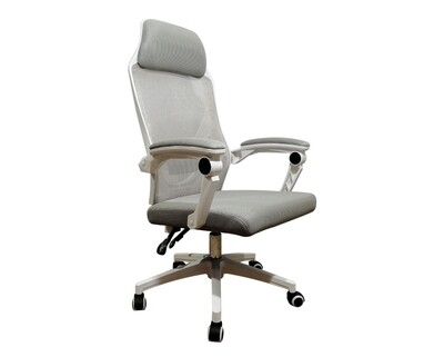 (Sale) OFX Areli Gaming Chair (White+Grey) (No back cover & Torn and Scratches)