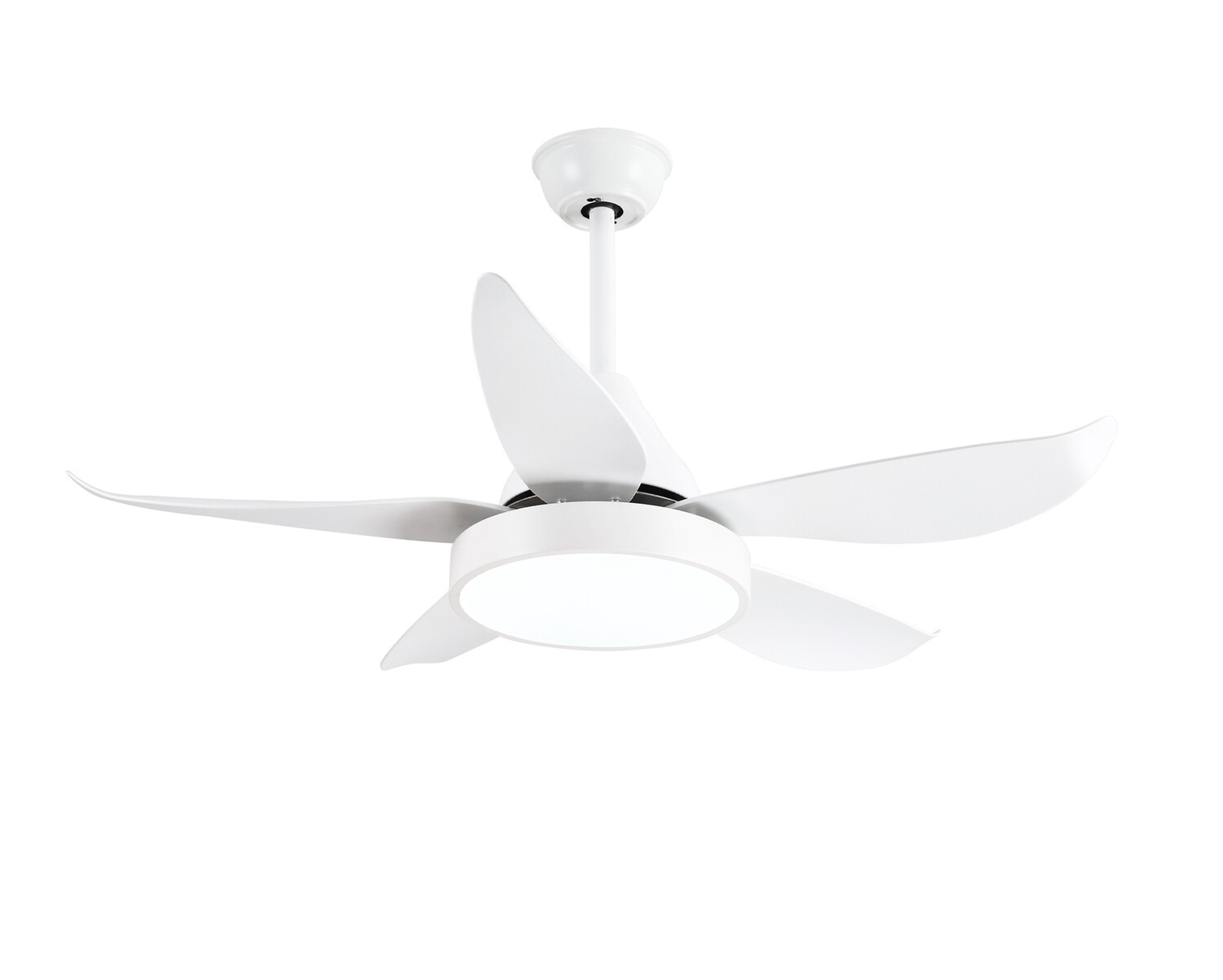 MYKE CF8024 Ceiling Fan (42") (White)