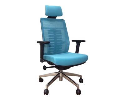 Ofix Premium X15 Bionic Spine Support Chair  w/ Seat Slide (Blue)