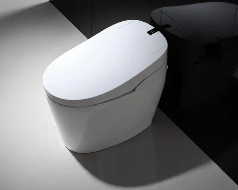Smart Toilet