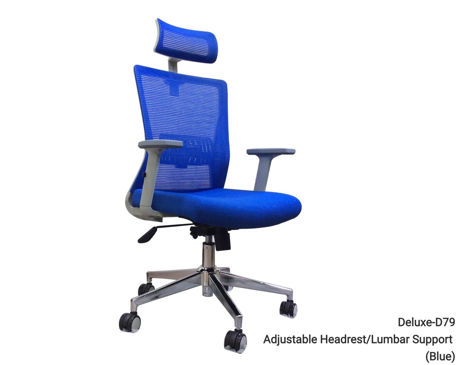 Ofix Deluxe-D79 Adjustable Headrest/Lumbar Support High Density Foam High Back Chair (Grey, Blue), Model:: Deluxe-D79 Adjustable Headrest/Lumbar Support  (Blue)