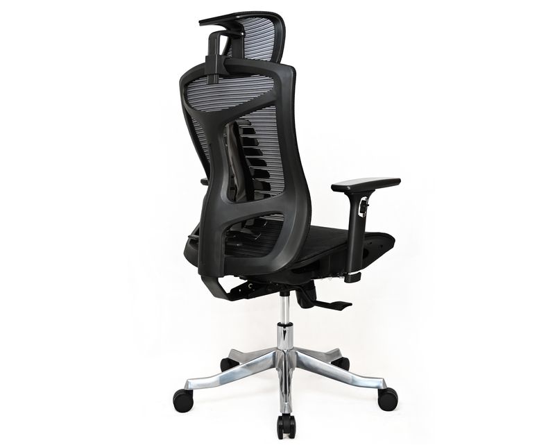 Ofix   Premium X18 PRO / Premium X18F PRO /   Premium X18 XTMBionic Spine Support 3D Armrest Office Chair (Black)