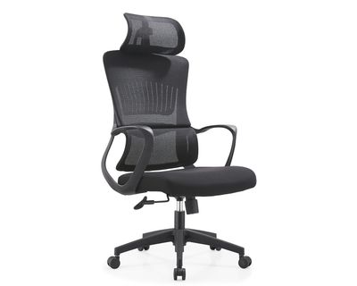 Ofix Korean-V06 Elastic Lumbar Support Molded Foam High Back Mesh Chair (Black, Grey)
