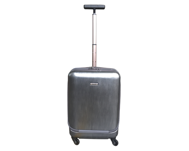Nut Travel Bag w/ Easy Access, Nut Travel Bag Color: Nut Travel Bag w/ Easy Access (Brushed Silver)