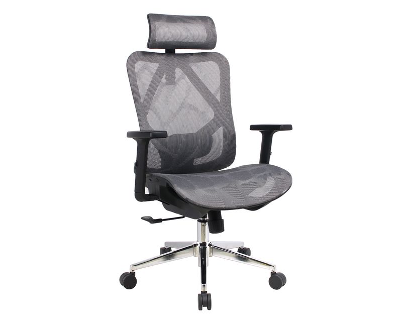 Ofix Deluxe-D57 XTM Full Mesh without Seat Slide Chrome Base (2D Lumbar Support) (Grey) 1 Year Warranty