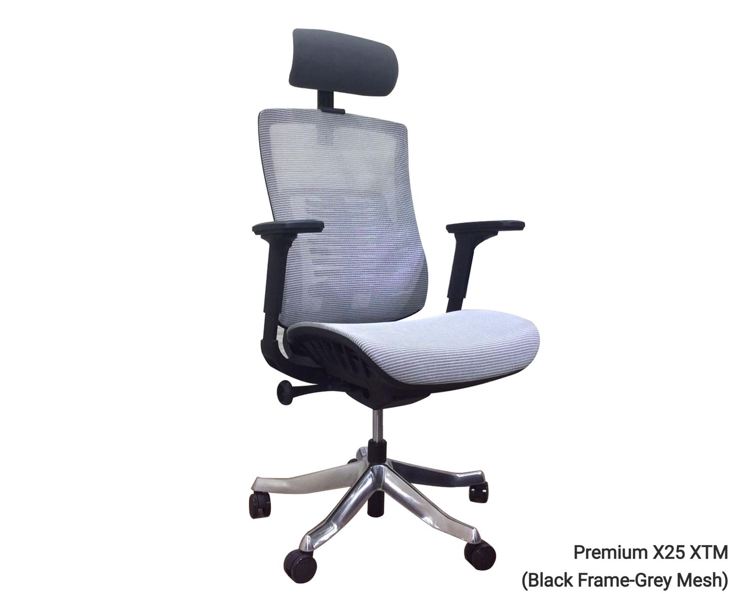 Ofix Premium X25 XTM Bionic Spine Support (w/ Seat Slide) (Grey), Model:: Premium X25 XTM (Black Frame-Grey Mesh)