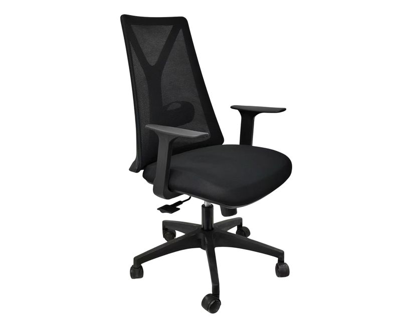 Ofix B22 Mid Back Office Ergonomic Chair (Black)