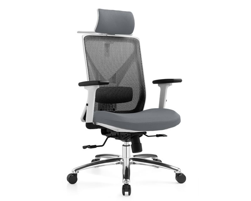 Ofix Korean-D20 Height Adjustable Backrest w/ Seat Slide, 2D Lumbar Support &amp; 3D Armrest Office Chair (White+Grey)