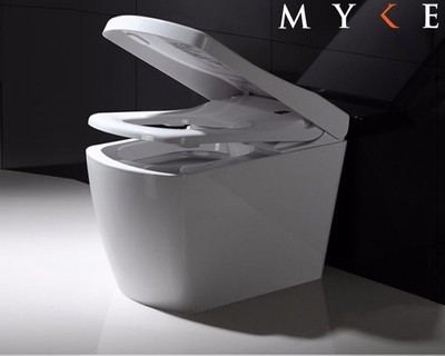 Smart Toilet