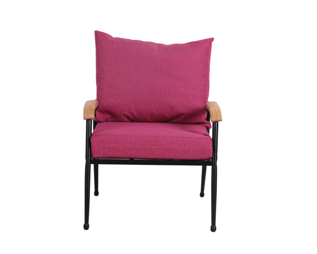 Flotti Canaan Metal Sofa-Single Seater (Purple, Pink)