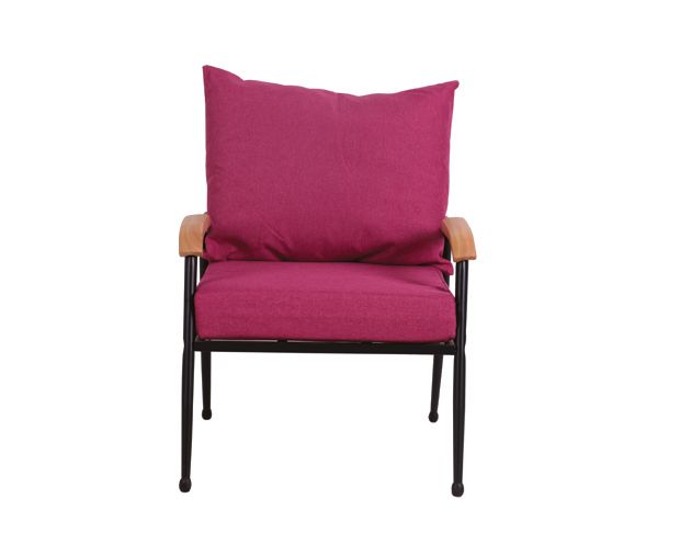 Ofix  Canaan Metal Sofa-Single Seater (Pink)